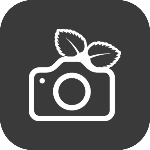 PiGallery 2